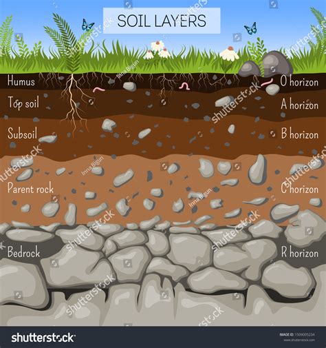 Soil Layers Diagram