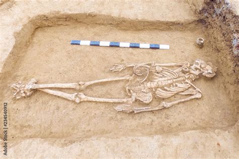 Archaeological Excavations Man And Finds Bones Of A Skeleton In A