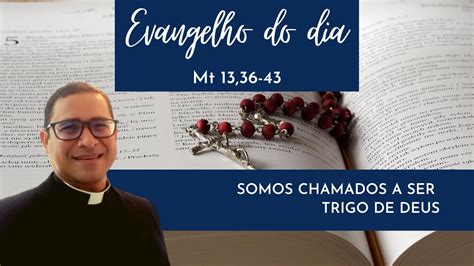 Somos Chamados A Ser Trigo De Deus Evangelho Do Dia Youtube