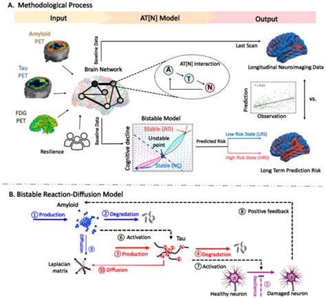 Overview A Methodological Process Input Amyloid Tau FDG PET