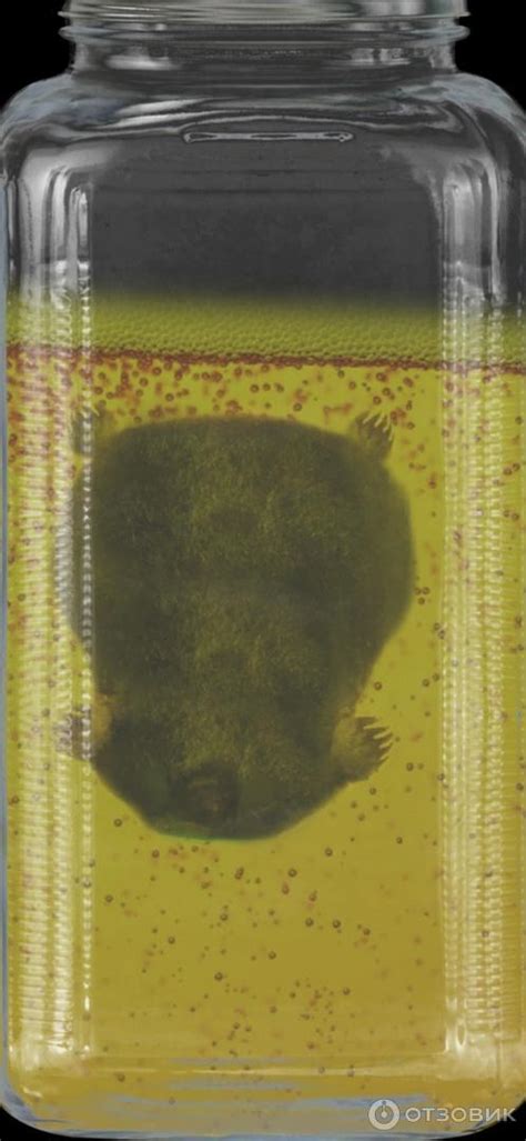 Отзыв о Кротовуха - игра для Android | Банка, крот, жидкость и ...