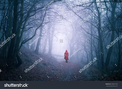 Alone Woman In Dark Forest Stock Photo 380691955 : Shutterstock