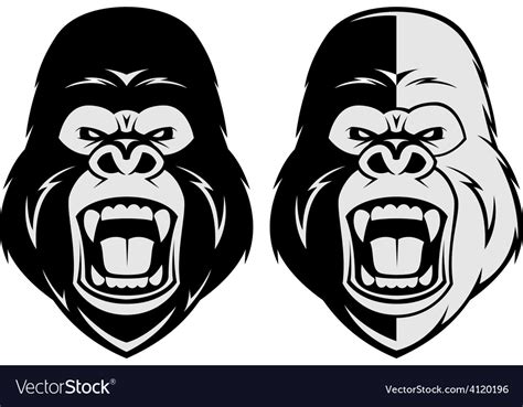 Angry Gorilla Head Royalty Free Vector Image Vectorstock