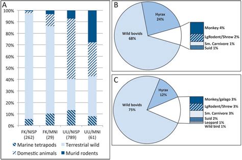 A Relative Abundance By Nisp And Mni Of Major Taxonomic Categories