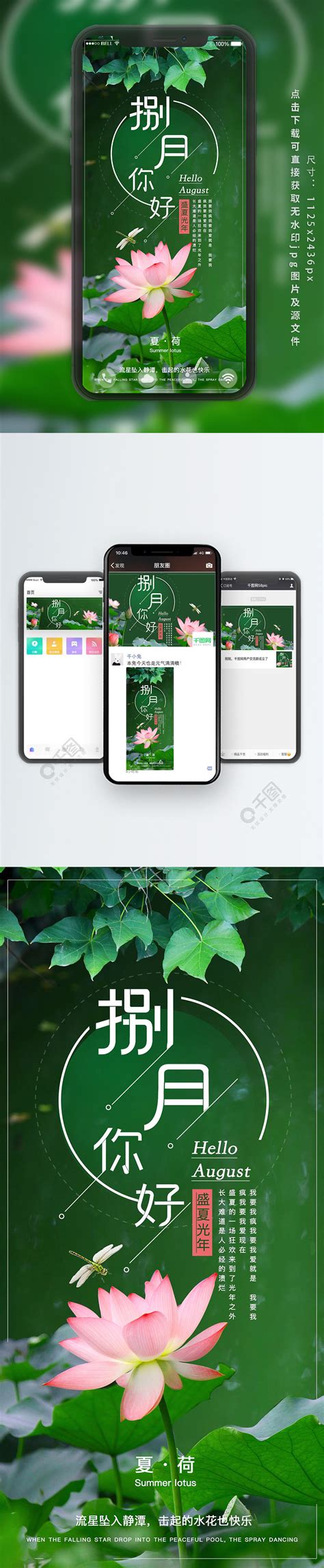 八月你好夏日荷花绿色免费下载手机海报配图（1772像素） 千图网