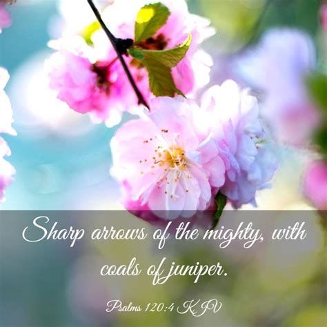 Psalms 1204 Kjv Bible Verse Images