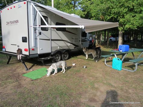 How to prepare for Camping with your Dog - Gone to the Snow Dogs ...