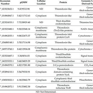 Bioinformatic Characterization Of The Predicted Thioredoxin Fold