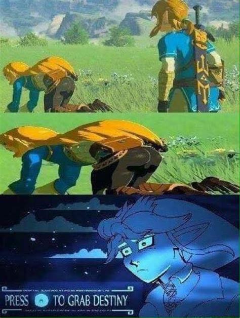 Destiny Grab The Legend Of Zelda Breath Of The Wild Know Your Meme