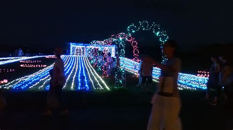 国営越後丘陵公園サマーナイトプレゼンツを見てきた！ 上越特産市場スタッフブログ