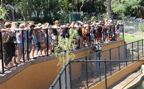 Education Rockhampton Zoo