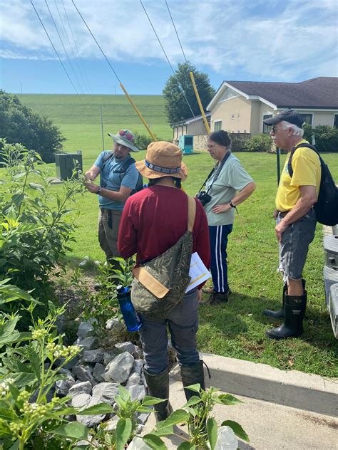 Identifying Rain garden plants | FWS.gov