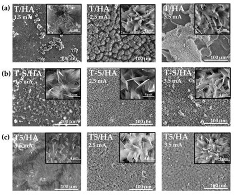 Materials Free Full Text Evaluation Of The Cathodic