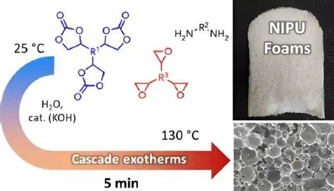 新工艺：室温下快速生产不含异氰酸酯的生物基聚氨酯泡沫 叶丹 买化塑智库专家