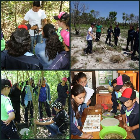 The Para La Tierra News: "Futuro Paraguayo"