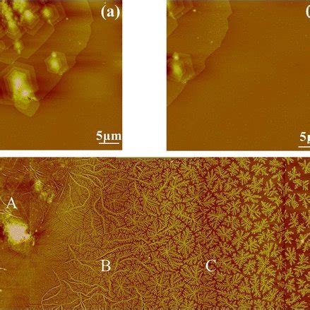 Tapping Mode AFM Height Images Of A B PCL Original Single Crystals And