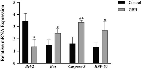 Effect Of Gbh Exposure On The Mrna Expression Levels Of Bcl 2 Bax