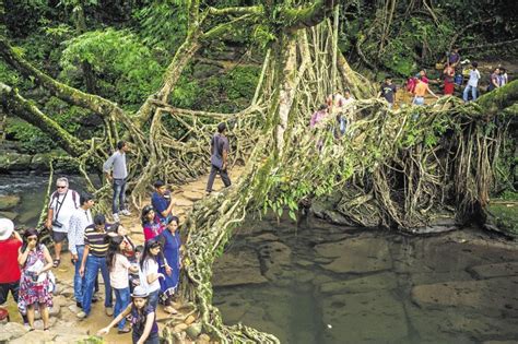 A Trip To Asias Cleanest Village Meghalayas Mawlynnong