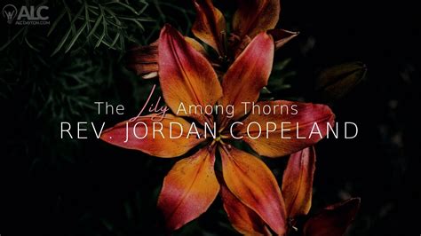 Bro Jordan Copeland The Lily Among Thorns YouTube