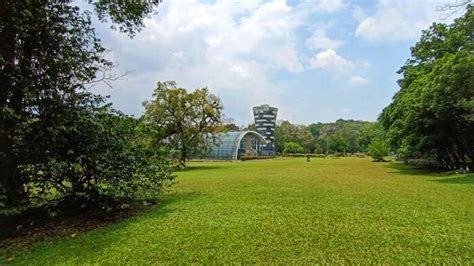 Kebun Raya Purwodadi Dilengkapi Rumah Kaca Dan Menara Mirip Flower