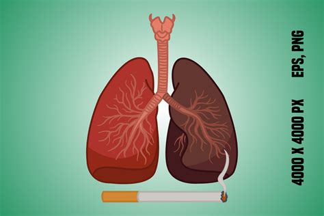 Healthy Lung And Smoker S Lung Graphic By Yulidor Creative Fabrica