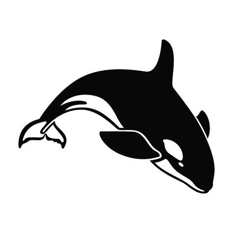 Killer whale Royalty Free Stock Free Vector