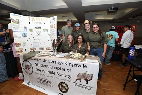 Fall Student Org Fair Texas A M University Kingsville