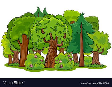 Mixed forest with trees cartoon Royalty Free Vector Image