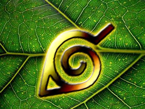 Naruto Hidden Leaf Village Logo