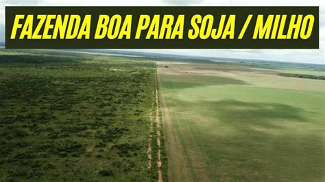 Fazenda Para Plantio De Soja Na Regi O De Santa Terezinha Mato Grosso