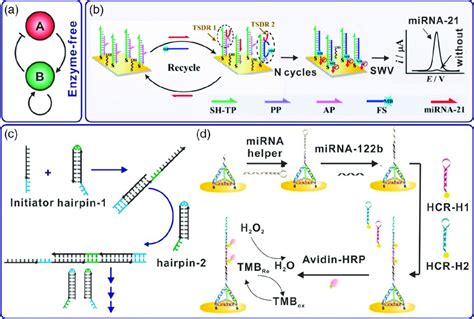 Dna‐based Chemical Reaction Networks For Biosensing Applications Li