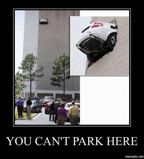 You Cant Park Here Funny Memes Memes Haha