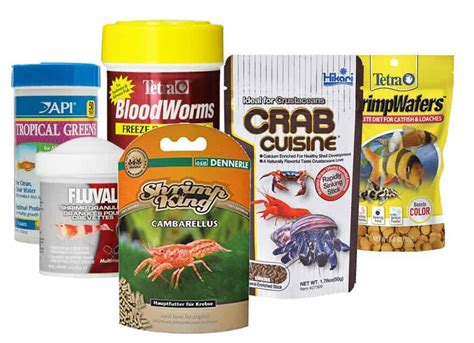 What Do Crayfish Eat? - Shrimp and Snail Breeder