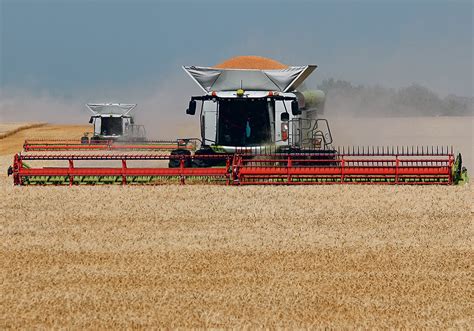 Opening the winter wheat window | The Western Producer