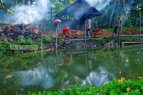 Pemerintah Wajib Lindungi Petani Tembakau Dan Industri Kretek