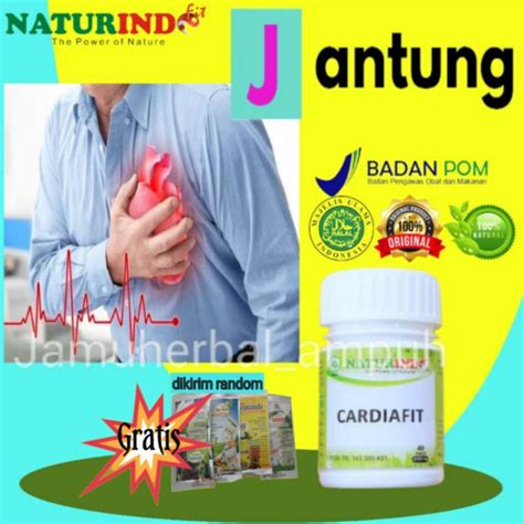 Jual Obat Jantung Obat Sakit Jantung Herbal Jantung Bengkak Jantung