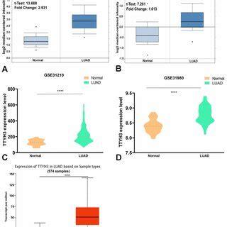 The MRNA Expression Levels Of TTYH3 In Patients With LUAD The TTYH3 In