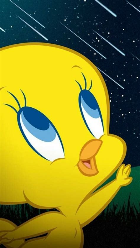 67 Ideas De Piolín En 2021 Piolin Dibujos De Piolin 670