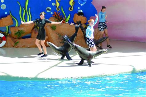 Miami Seaquarium Attraction Ticket - Hop On Hop Off Plus