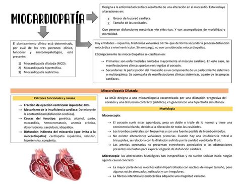 Miocardiopatia Y Miocarditis Salud UDocz