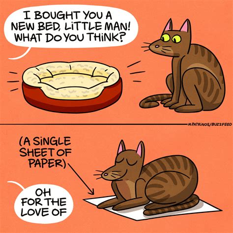 24 Jokes Only Cat Owners Will Truly Understand