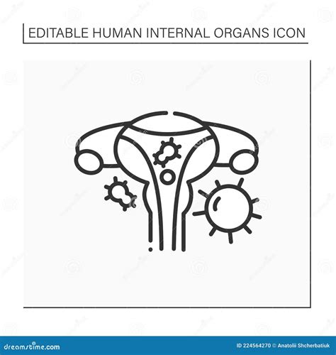 Reproductive System Line Icon Stock Vector Illustration Of Anatomical Organ 224564270