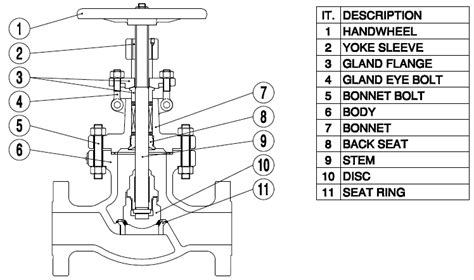 Globe Valve