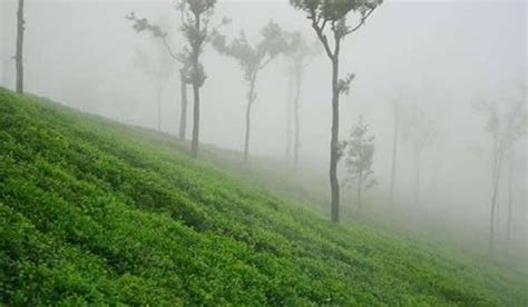 Ooty (Udhagamandalam) Weather And Best Time To Visit Ooty ...