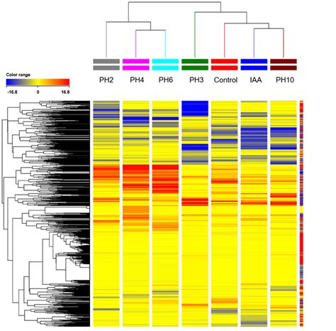 Unsupervised Hierarchical Cluster Analysis HCA Carried Out From