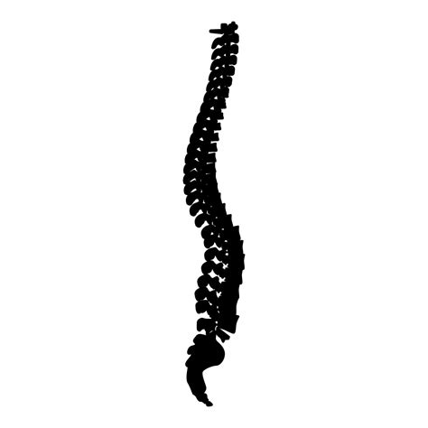 Spinal Vertebral Column Spine Backbone Icon Black Color Vector