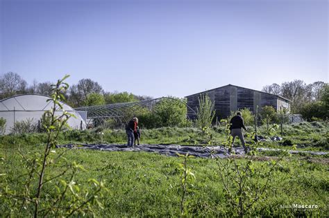 Chantier Participatif Buttes De Culture Au Jardin Collectif La