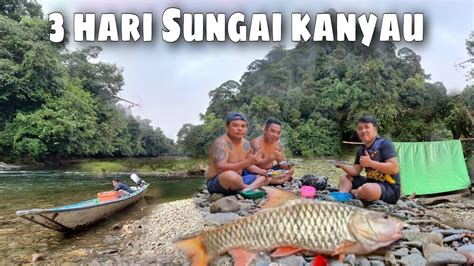 Camping Hari Hujan Deras Di Sungai Kanyau Fishing Camp Masak Ikan