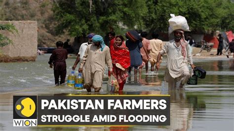 Wion Climate Tracker Farmers In Pakistan Struggle To Make Ends Meet Amid Flooding English