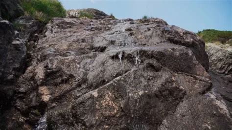 Natural Water Stream On A Huge Rock In M Stock Video Pond